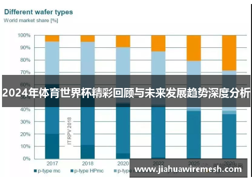 2024年体育世界杯精彩回顾与未来发展趋势深度分析